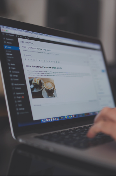 電商/網站開(kāi)發(fā)